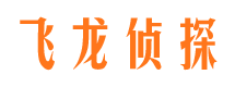 平安市私人调查